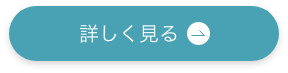 詳しく見るボタン